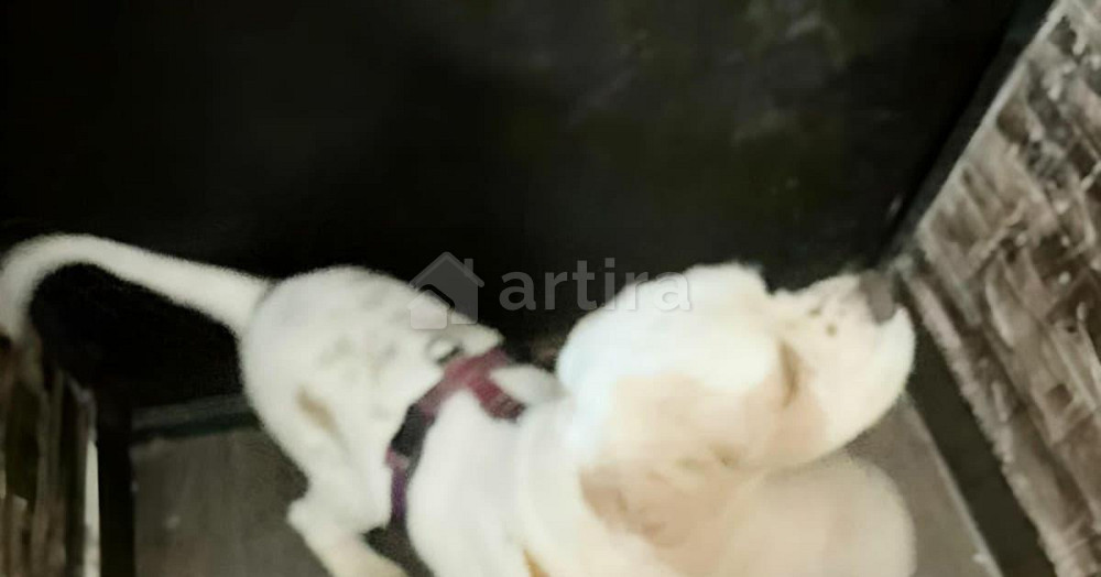 Комната, 8 м2, 1/2 эт. Самара - изображение 2