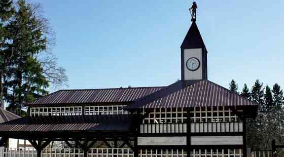 Коттедж, 350 м2 Сосново