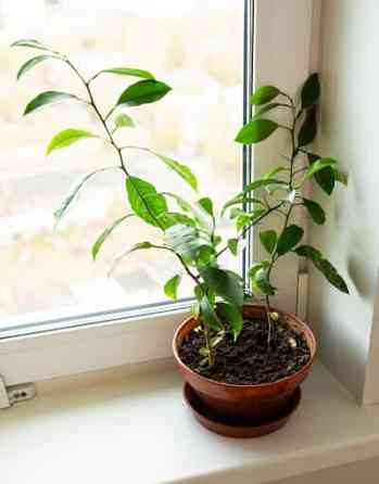 2-комн. квартира, 60 м2, 20/25 эт. Пермь