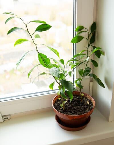 2-комн. квартира, 60 м2, 20/25 эт. Пермь - изображение 3