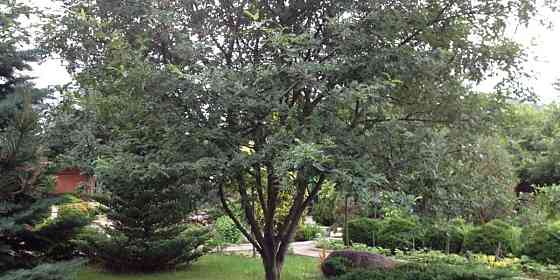 Дом, 60 м2, 27 соток, 2 эт. Видное