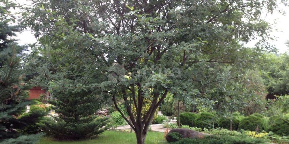 Дом, 60 м2, 27 соток, 2 эт. Видное - изображение 6