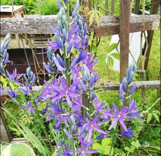 Дом, 86 м2, 12 соток, 2 эт. Щёлково