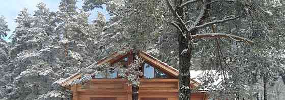 Коттедж, 230 м2, 50 соток, 2 эт. Сосново