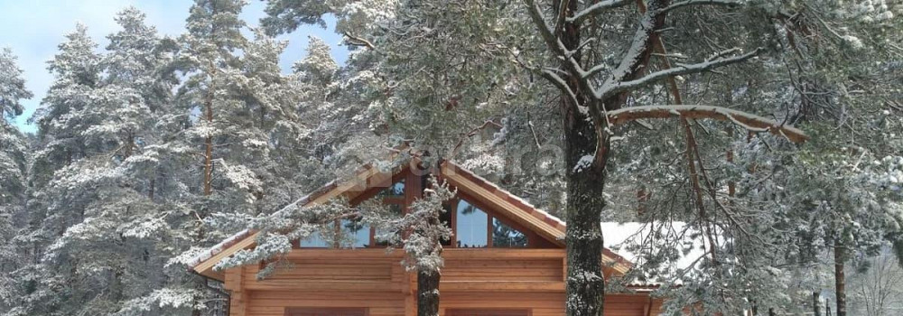 Коттедж, 230 м2, 50 соток, 2 эт. Сосново - изображение 5