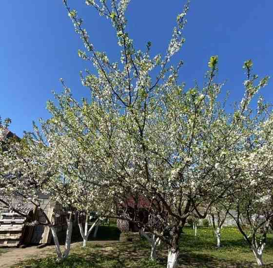 Дом, 45 м2, 20 соток, 1 эт. Кингисепп