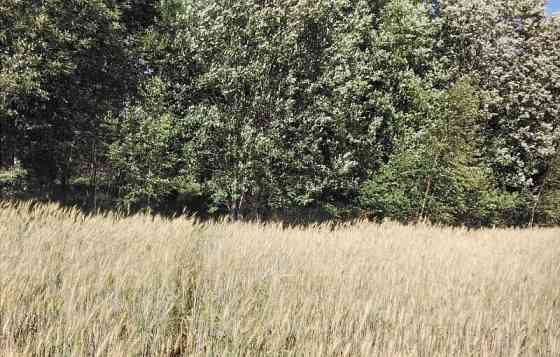 Коммерческий участок, 10 соток Луга