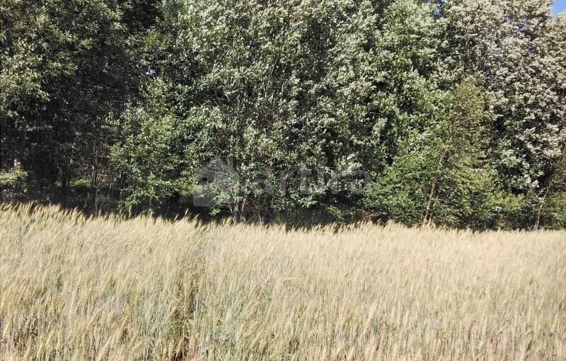 Коммерческий участок, 10 соток Луга - изображение 1