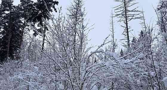 Гараж, 20 м2 Химки