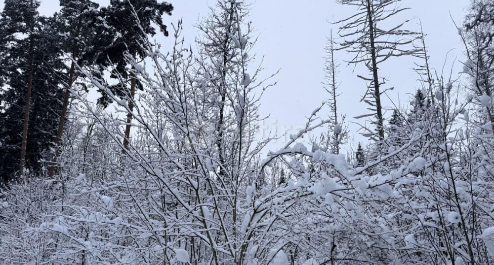 Гараж, 20 м2 Химки - изображение 2