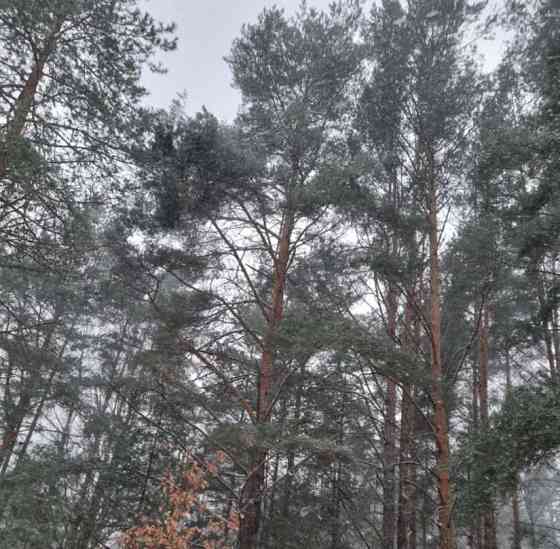 Комната, 12 м2, 2/3 эт. Санкт-Петербург