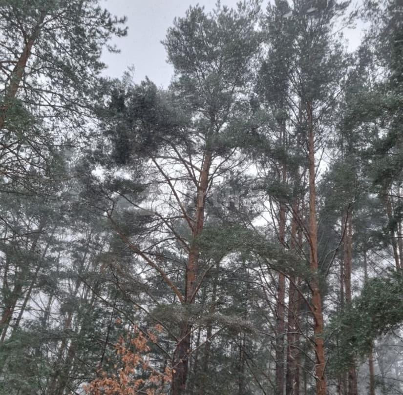 Комната, 12 м2, 2/3 эт. Санкт-Петербург - изображение 5