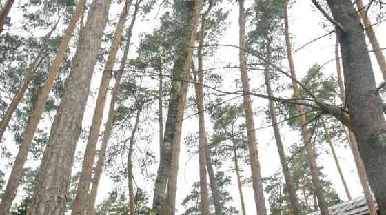 Коттедж, 200 м2, 6 соток Кратово