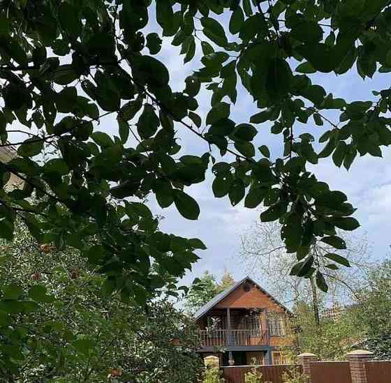 Дом, 160 м2, 4 сотки, 2 эт. Москва