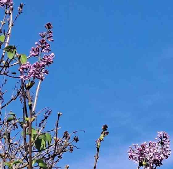 Дом, 100 м2, 20 соток, 1 эт. Солнечногорск