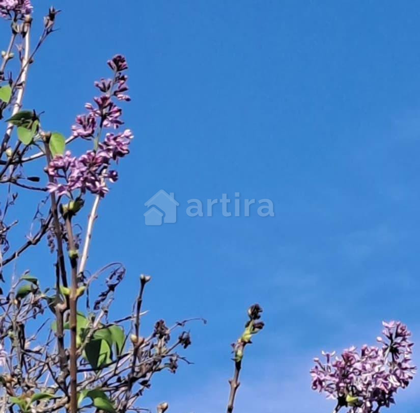 Дом, 100 м2, 20 соток, 1 эт. Солнечногорск - изображение 4