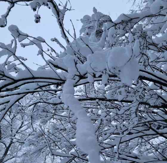 Комната, 12 м2, 2/3 эт. Санкт-Петербург