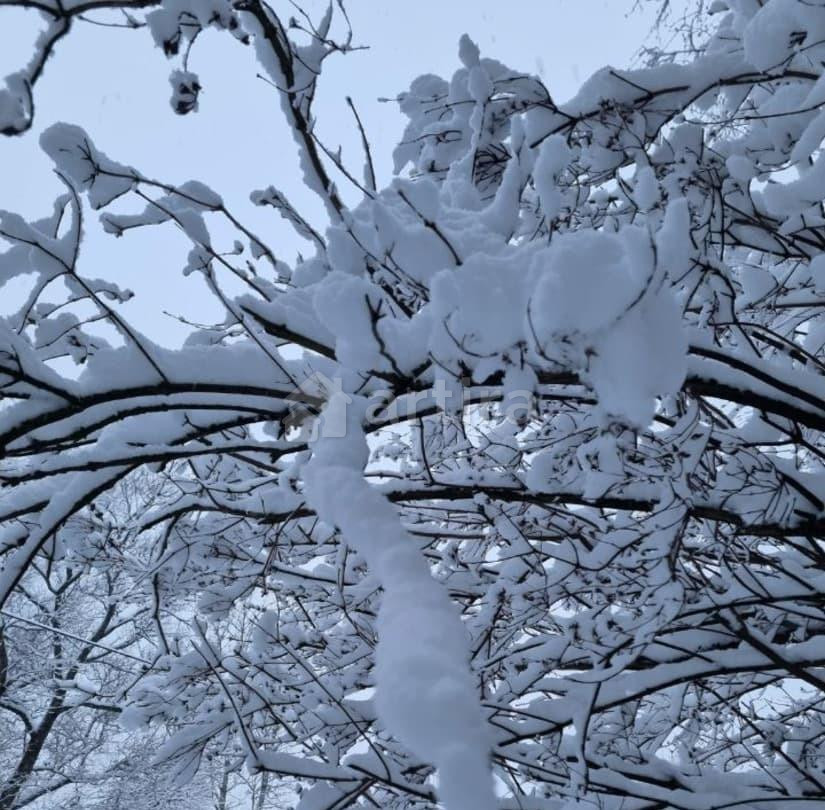 Комната, 12 м2, 2/3 эт. Санкт-Петербург - изображение 3