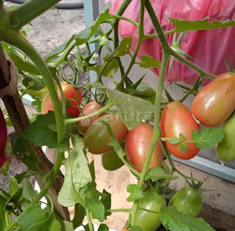 Дом, 50 м2, 4 сотки Уфа - изображение 3