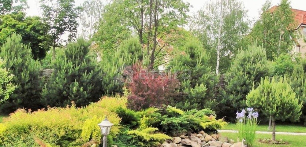 Дом, 500 м2, 15 соток, 3 эт. Красногорск - изображение 7