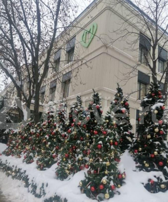 Студия, 13 м2, 1/12 эт. Москва - изображение 3