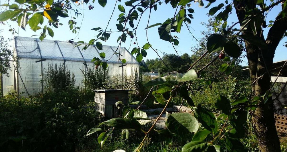 Дом, 61 м2, 0.8 га, 2 эт. Зеленоградск - изображение 2