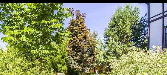 Коттедж, 450 м2, 15 соток, 2 эт. Солнечногорск