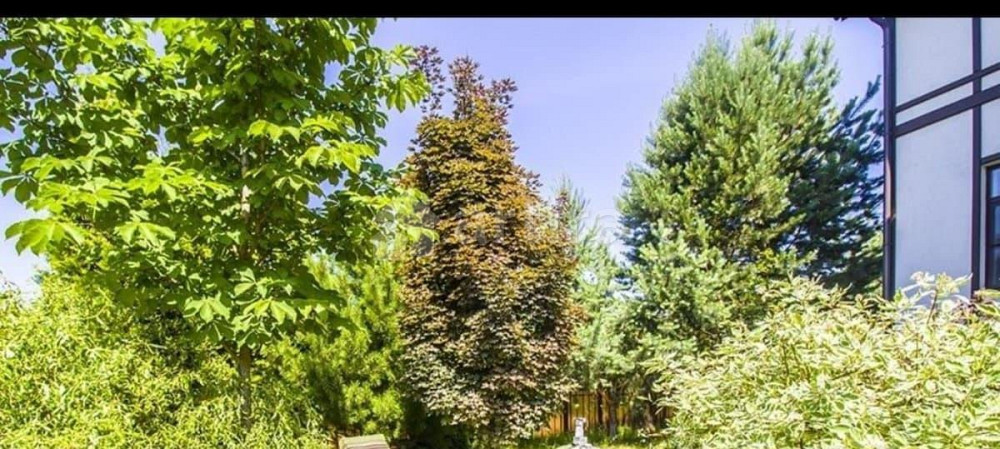 Коттедж, 450 м2, 15 соток, 2 эт. Солнечногорск - изображение 4