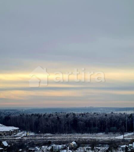 1-комн. квартира, 24 м2, 15/17 эт. Домодедово - изображение 10