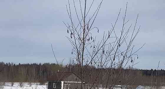 Дом, 80 м2, 5 га, 2 эт. Волоколамск