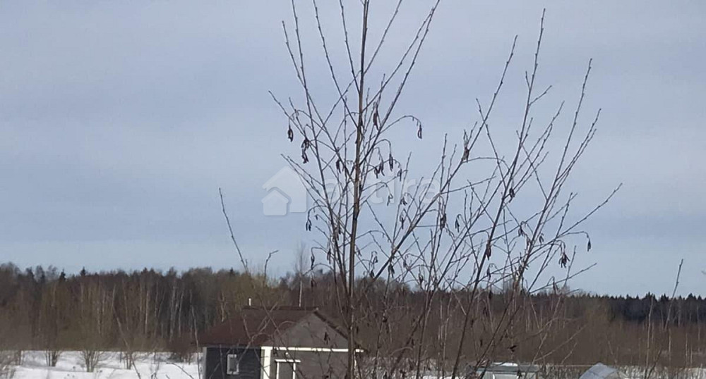 Дом, 80 м2, 5 га, 2 эт. Волоколамск - изображение 4