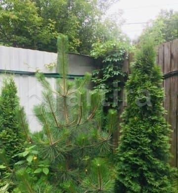 Дом, 130 м2, 7 соток Малаховка - изображение 11