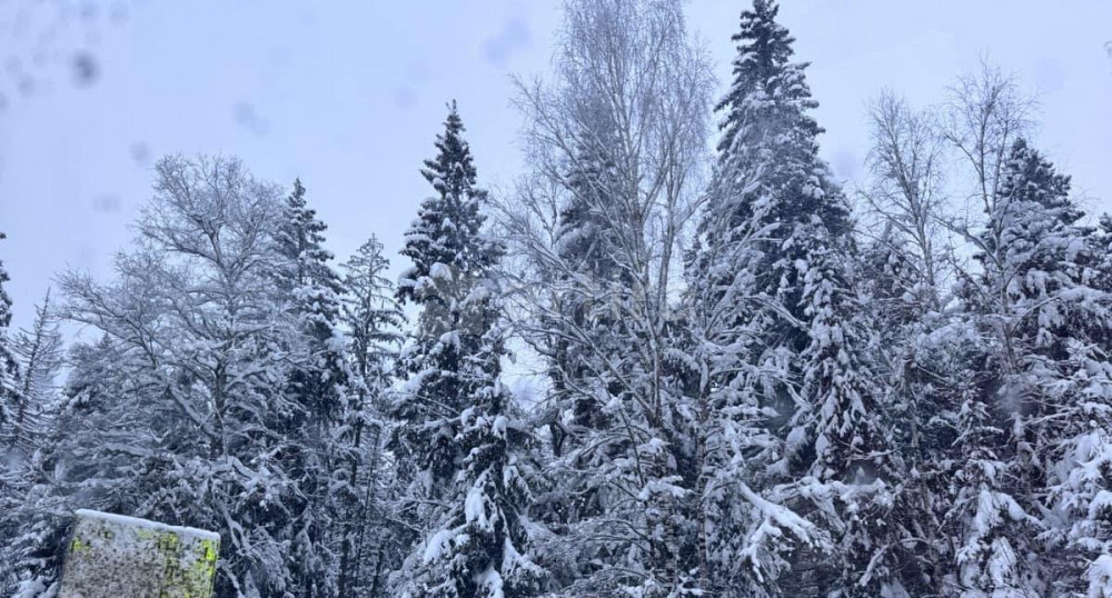 Гараж, 20 м2 Химки - изображение 4