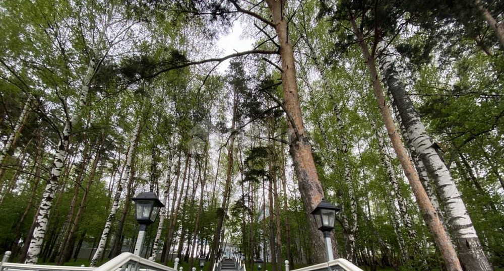 Коттедж, 260 м2, 8 соток Мытищи - изображение 7