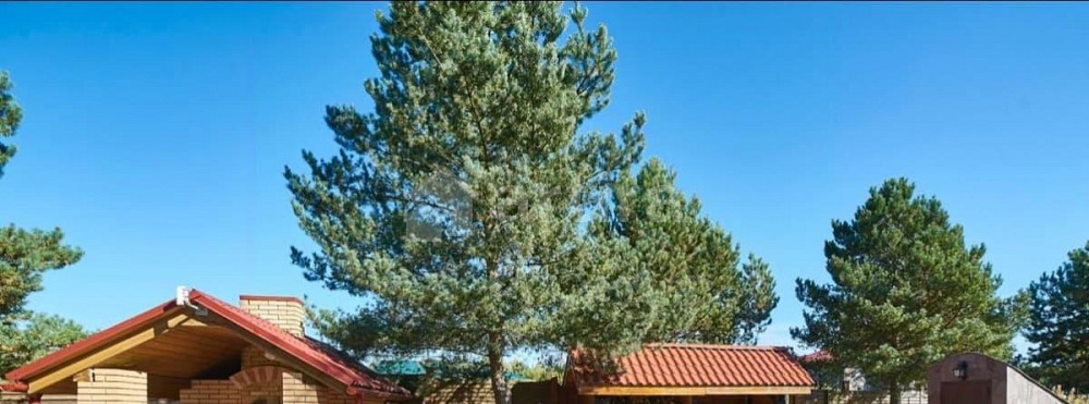 Дом, 338 м2, 1 га, 2 эт. Балабаново - изображение 3