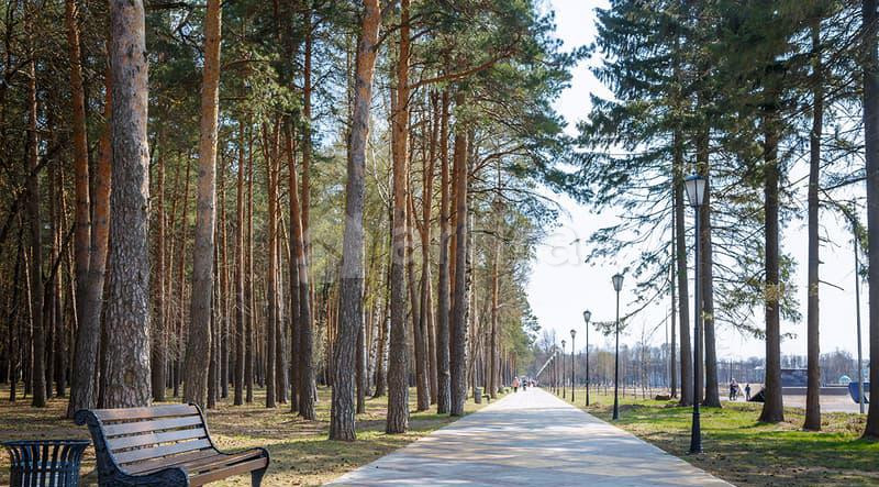 1-комн. квартира, 42 м2, 8/9 эт. Муром - изображение 14