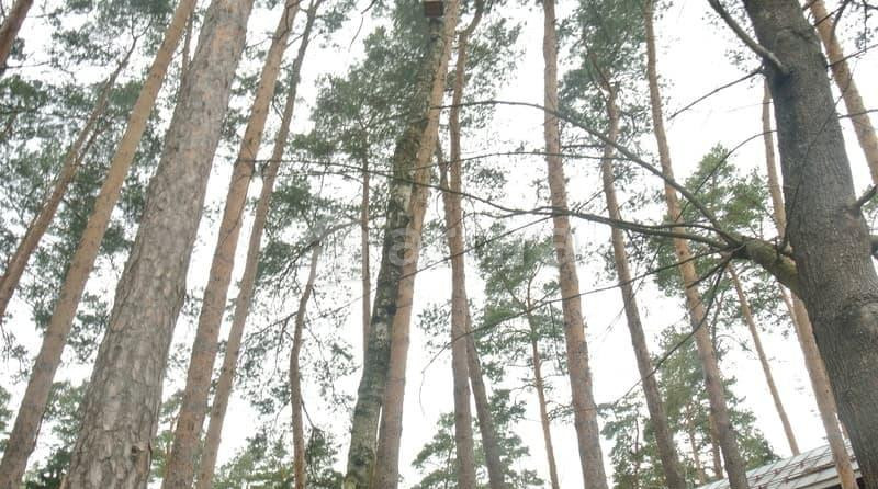 Дом, 100 м2, 8 соток Раменское - изображение 11