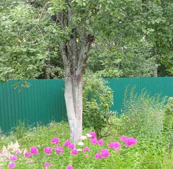 Дом, 60 м2, 6 соток, 2 эт. Коломна