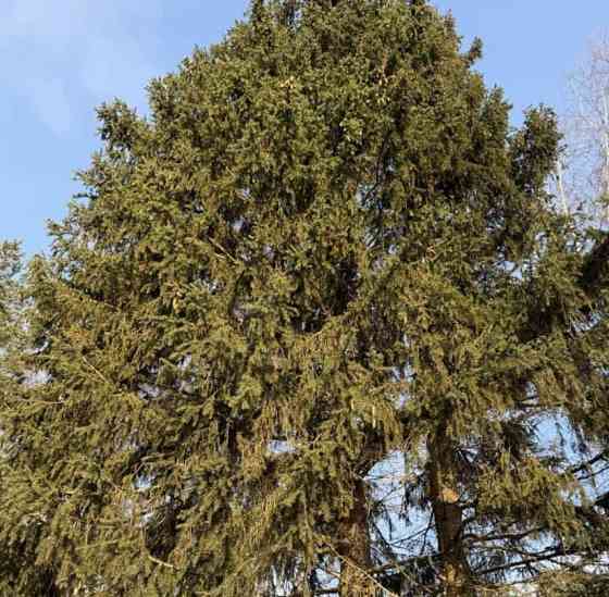 Дом, 120 м2, 12 соток, 2 эт. Руза