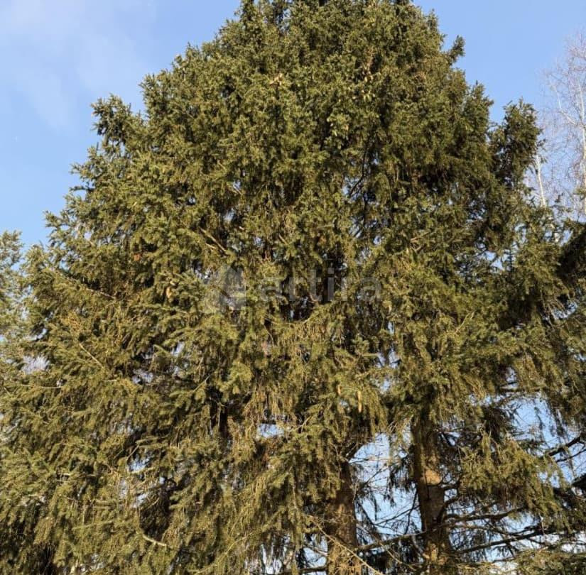 Дом, 120 м2, 12 соток, 2 эт. Руза - изображение 3