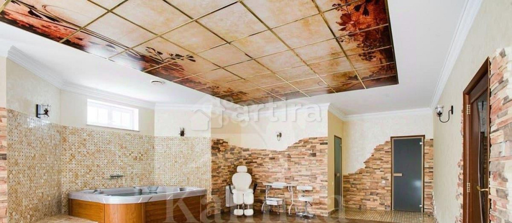 Дом, 560 м2, 25 соток, 4 эт. Истра - изображение 7