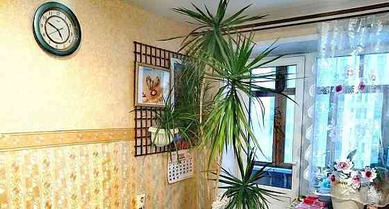 Комната, 38.6 м2, 8/10 эт. Новосибирск