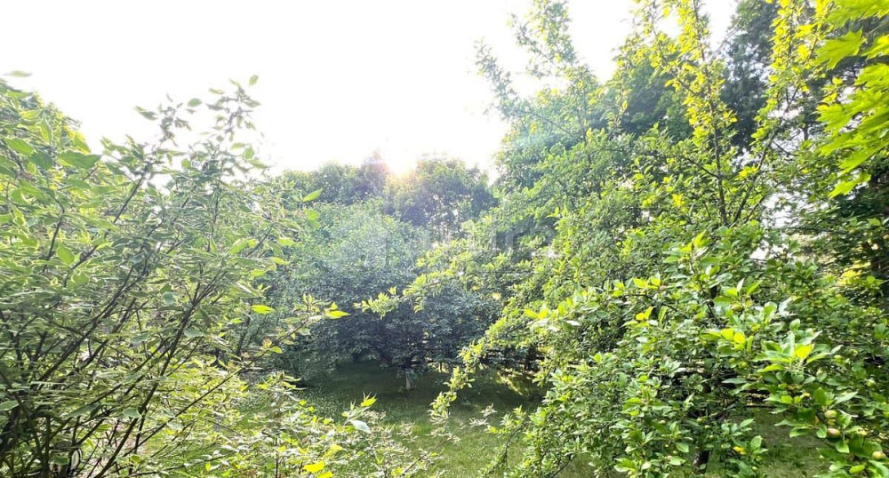 Дом, 500 м2, 20 соток, 3 эт. Одинцово - изображение 5