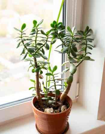 2-комн. квартира, 60 м2, 20/25 эт. Пермь