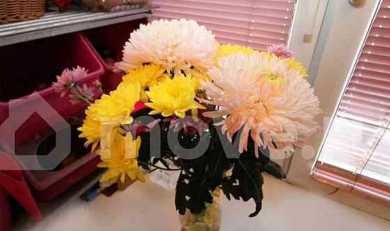 4-комн. квартира, 92.4 м2, 2/10 эт. Москва