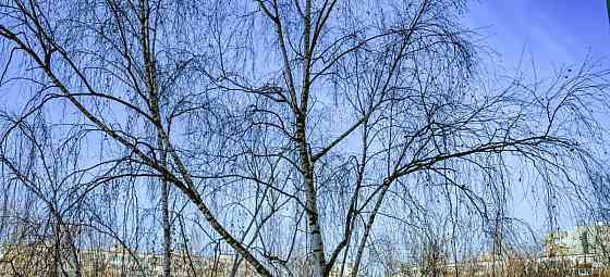 Комната, 18 м2, 5/9 эт. Москва