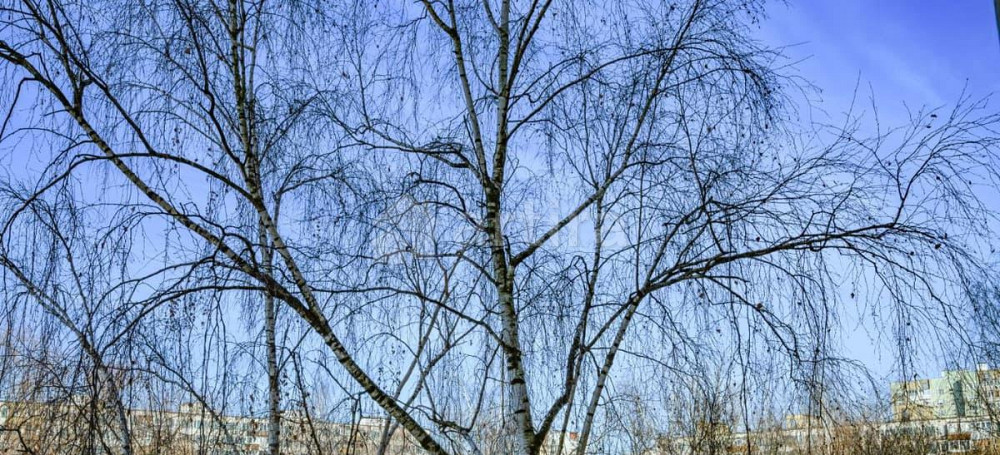 Комната, 18 м2, 5/9 эт. Москва - изображение 2