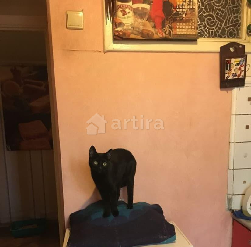 Комната, 10 м2, 2/9 эт. Москва - изображение 7