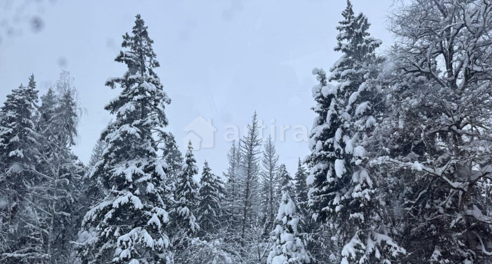 Гараж, 20 м2 Химки - изображение 5