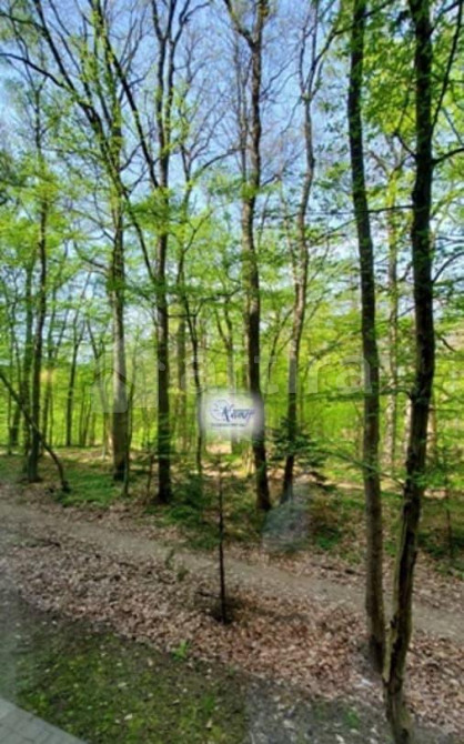 1-комн. квартира, 36 м2, 2/6 эт. Светлогорск - изображение 14